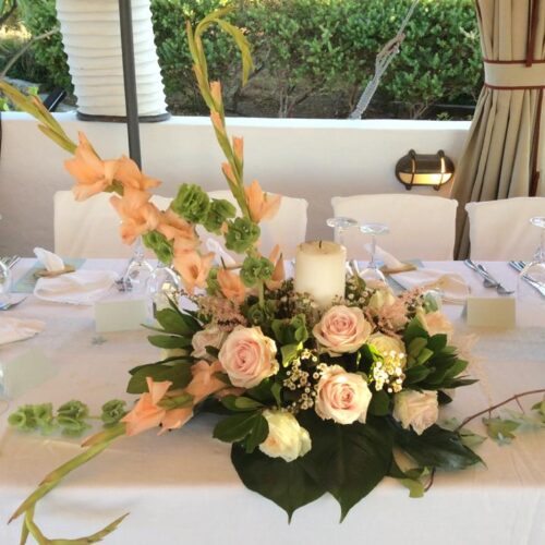 11667356_458484414318899_1313967422710583155_n