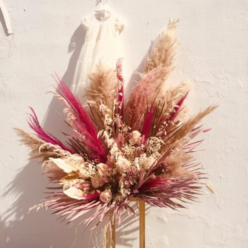 120239170_1657031397797522_3108376291329456367_n