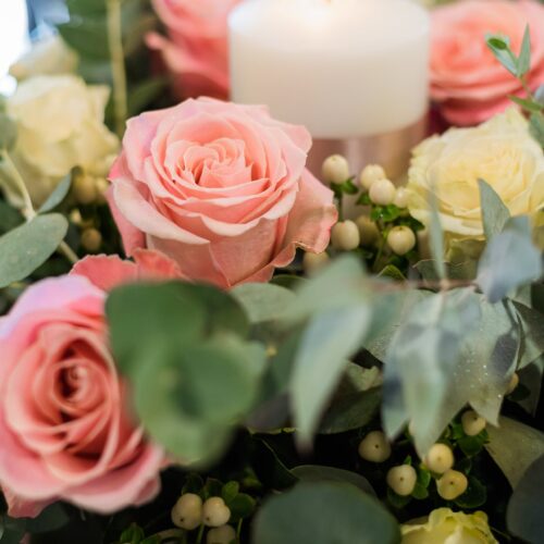 49864633_10155704800611428_2333999156948893696_n