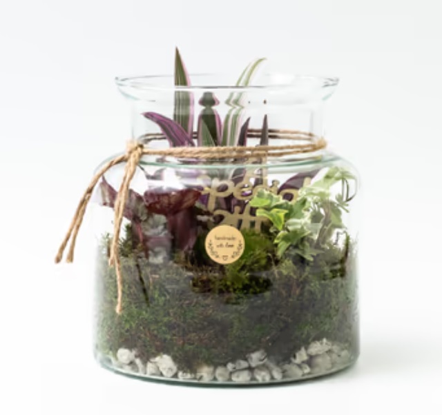 Terrarium σε γυάλα
