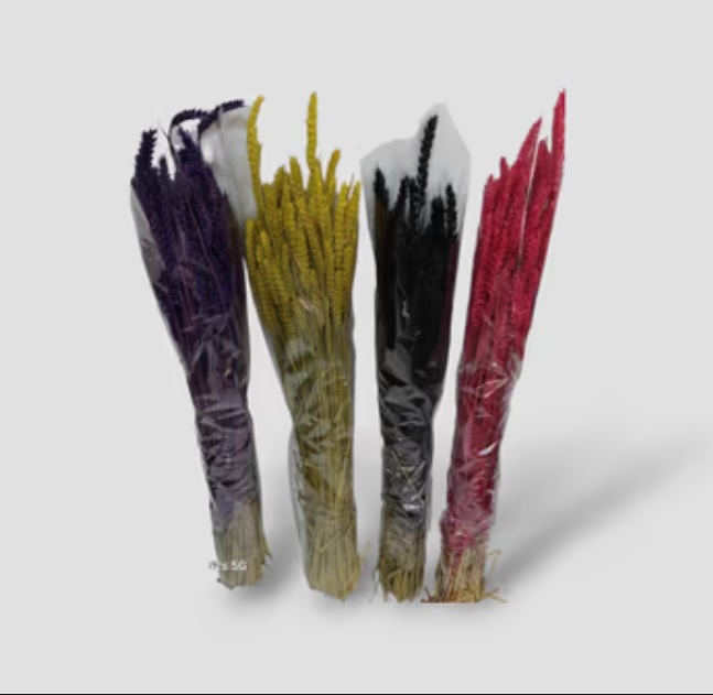 Στάχυ Αποξηραμένο