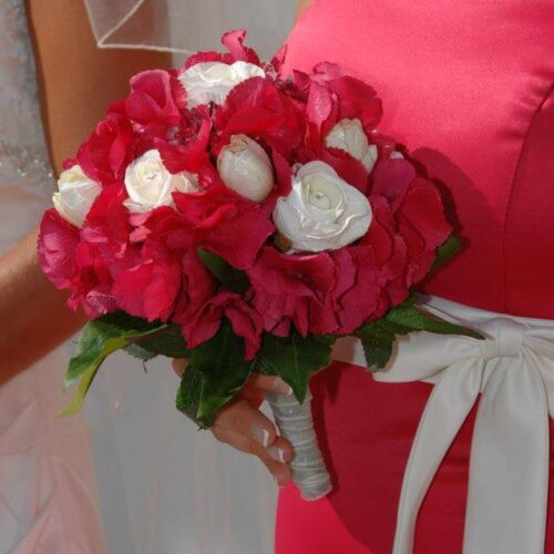 248814_102514686582542_881952314_n