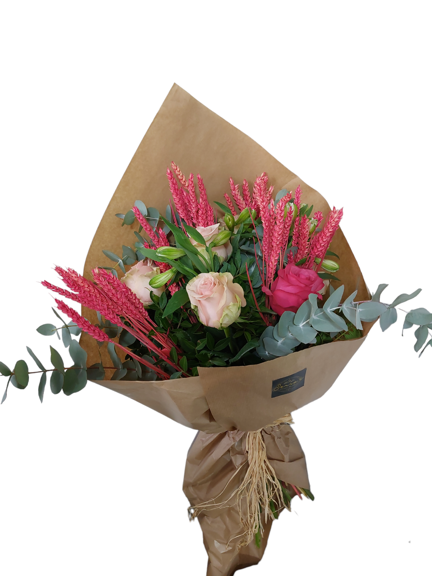 PhotoRoom-20240117_123923