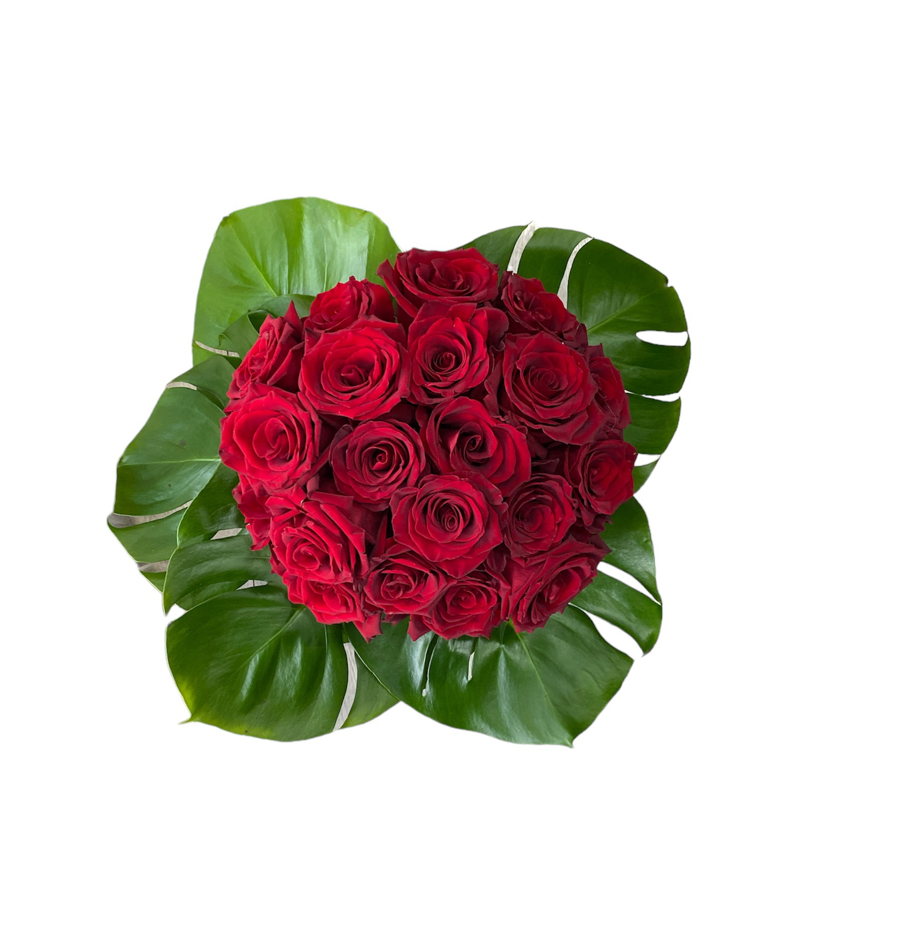 Photoroom_20240212_173028