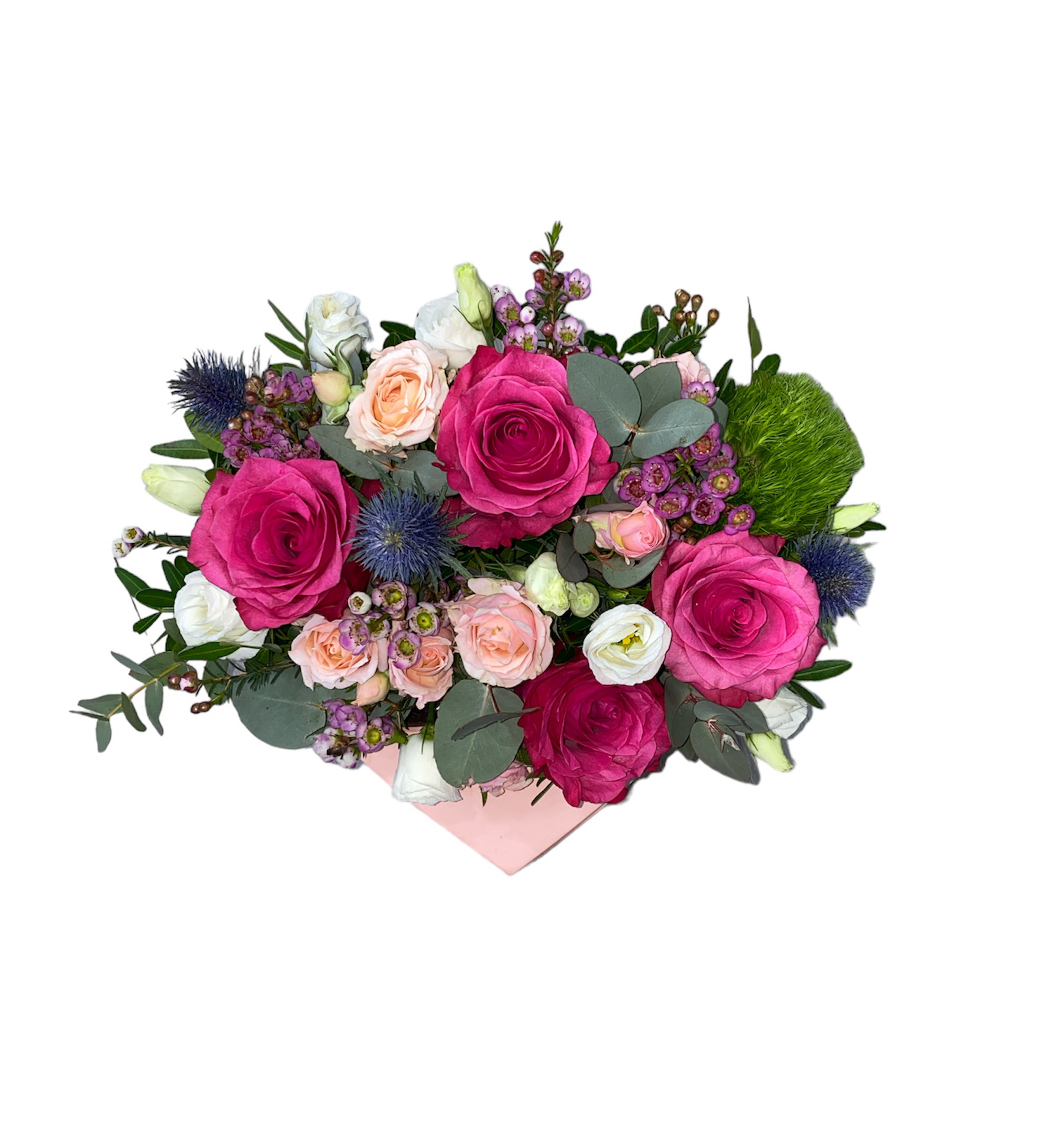 Photoroom_20240212_173232